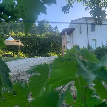 Tra Borghi E Mare - Ripatransone